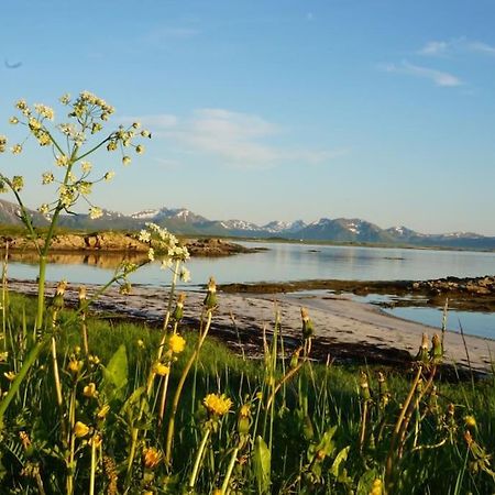 Sjarmerende Hus Med Orkesterplass Til Hav Og Fjell Stave Exterior photo