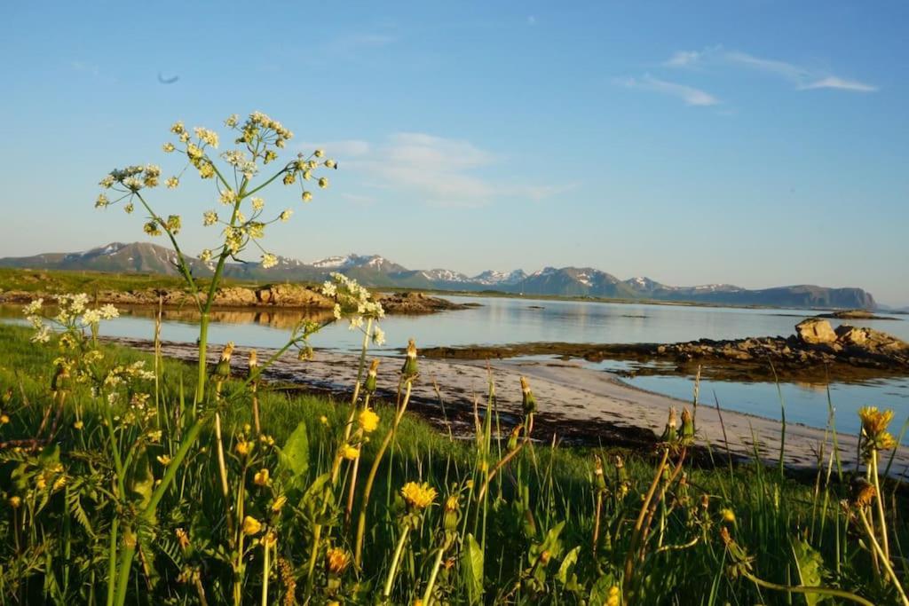 Sjarmerende Hus Med Orkesterplass Til Hav Og Fjell Stave Exterior photo