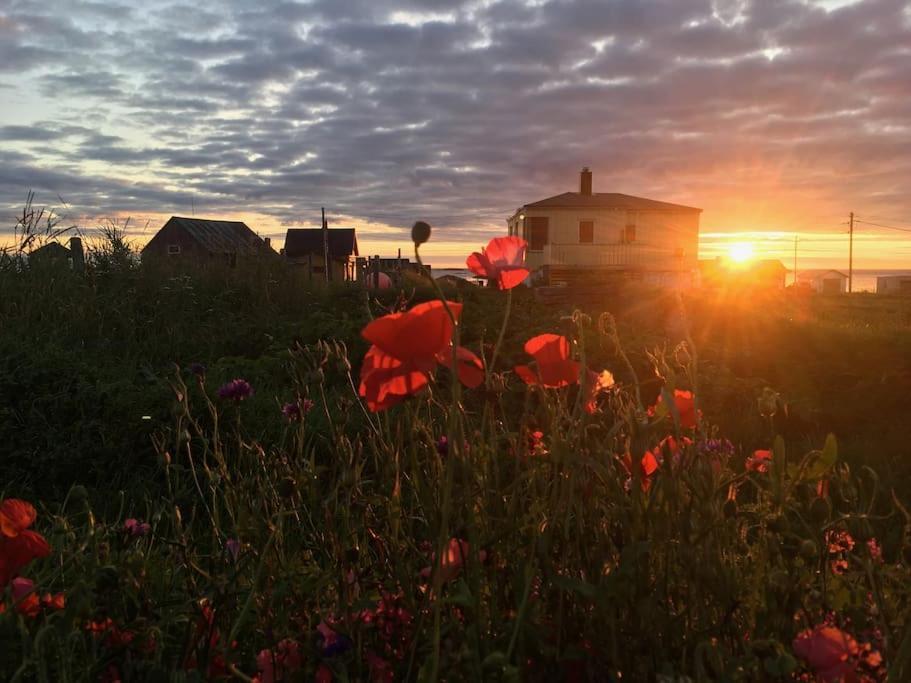 Sjarmerende Hus Med Orkesterplass Til Hav Og Fjell Stave Exterior photo